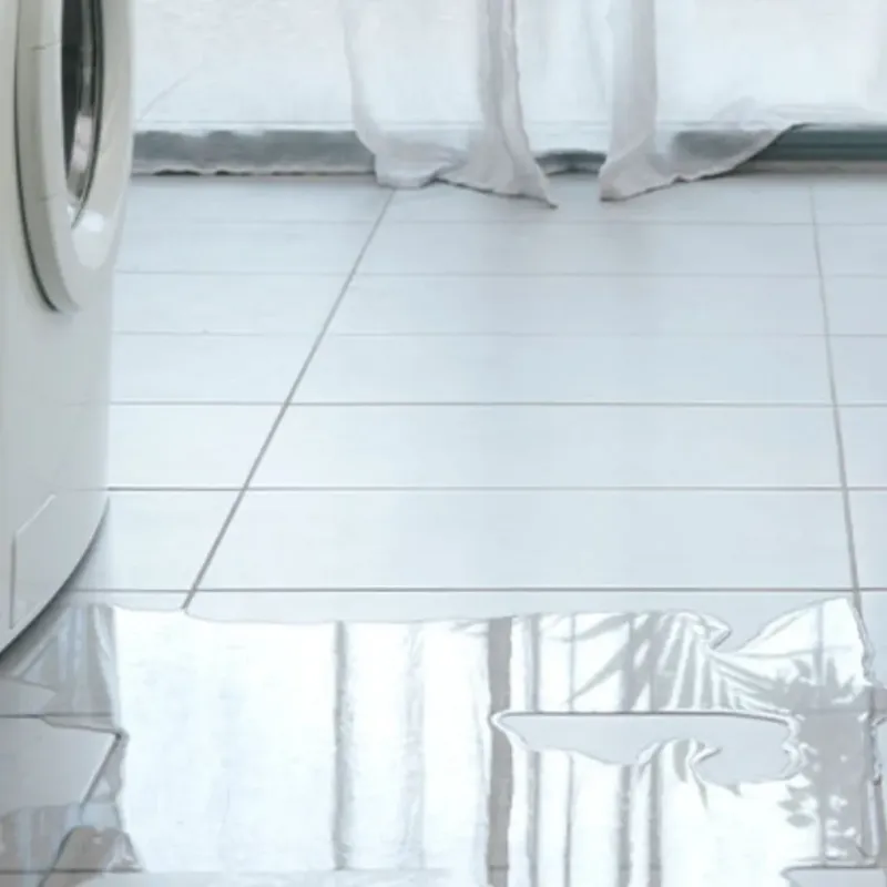 Appliance Leak Cleanup in Zwolle, LA