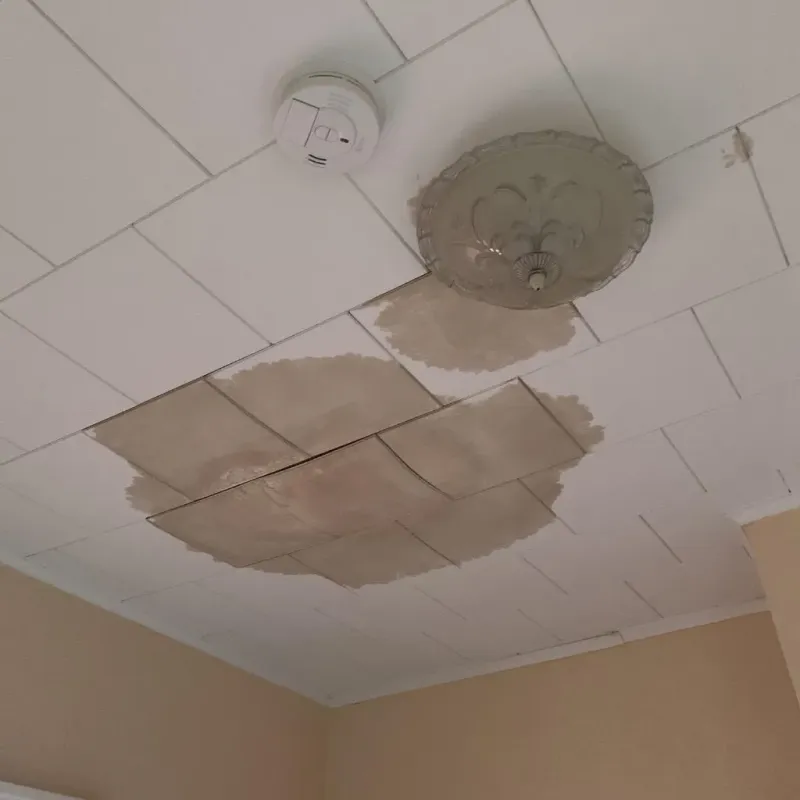 Ceiling Water Damage Repair in Zwolle, LA